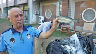 Kolilerden Horoz ve Güvercin Çıktı!